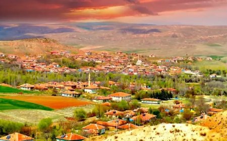 Ankara’nın Ayaş İlçesindeki En İyi Psikologlar: Uzman İsim ve İletişim Bilgileri