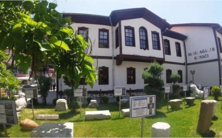 Ankara’nın Çubuk İlçesindeki En İyi Psikologlar: Uzman İsim ve İletişim Bilgileri