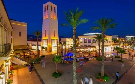 İzmir Bornova İlçesindeki En İyi Psikologlar: Uzman İsim ve İletişim Bilgileri
