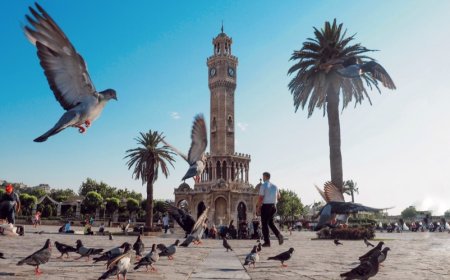 Konak İlçesindeki En İyi Psikologlar: Uzman İsim ve İletişim Bilgileri