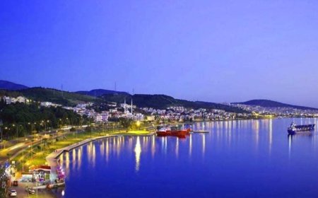İzmir'in Aliağa İlçesindeki En İyi Psikologlar: Uzman İsim ve İletişim Bilgileri