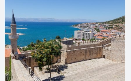 Çeşme’nin En İyi Psikologları: Uzman İsim ve İletişim Bilgileri