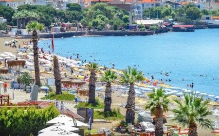 Dikili’nin En İyi Psikologları: Uzman İsim ve İletişim Bilgileri