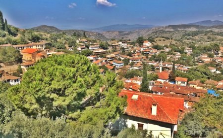 Kınık’ın En İyi Psikologları: Uzman İsim ve İletişim Bilgileri