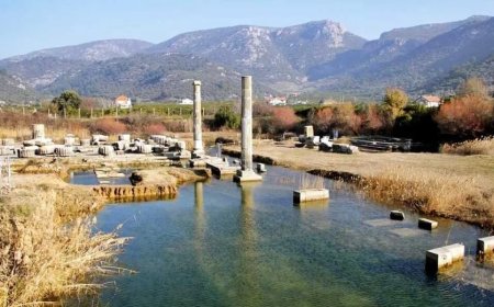 Menderes’in En İyi Psikologları: Uzman İsim ve İletişim Bilgileri