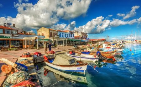 Urla’nın En İyi Psikologları: Uzman İsim ve İletişim Bilgileri