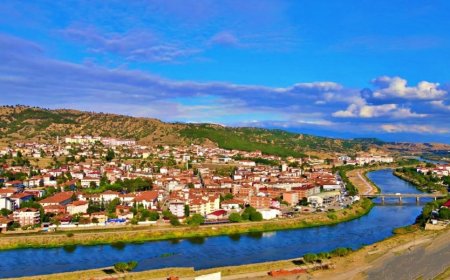 Amasya’nın En İyi Psikologları: Uzman İsim ve İletişim Bilgileri