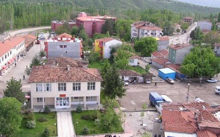 Hamamözü’nün En İyi Psikologları: Uzman İsim ve İletişim Bilgileri