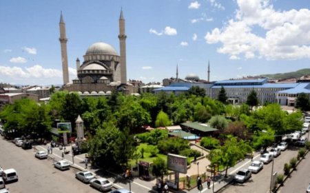 Gümüşhacıköy’ün En İyi Psikologları: Uzman İsim ve İletişim Bilgileri