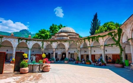 Göynücek’in En İyi Psikologları: Uzman İsim ve İletişim Bilgileri
