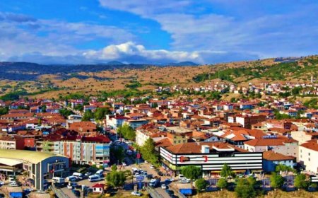 Amasya’nın Taşova İlçesindeki Uzman Psikologlar: İletişim Bilgileri ve Hizmet Detayları