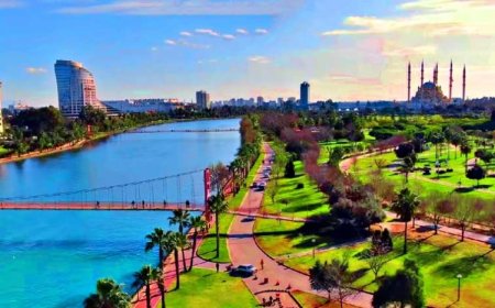 Adana’nın Çukurova İlçesinin En İyi Psikologları: Uzman İsimler ve İletişim Bilgileri