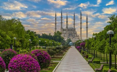 Adana'nın Seyhan İlçesindeki En İyi Psikologlar: Uzman İsimler ve İletişim Bilgileri
