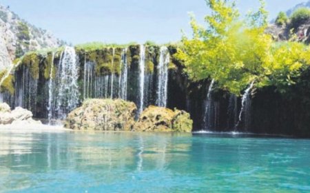 Adana'nın Yüreğir İlçesindeki En İyi Psikologlar: Uzman İsimler ve İletişim Bilgileri