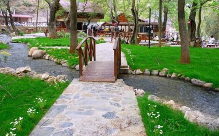 Adana'nın Aladağ İlçesindeki En İyi Psikologlar: Uzman İsimler ve İletişim Bilgileri