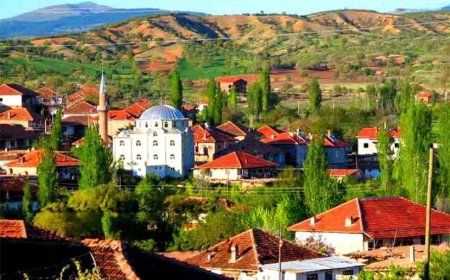 Adana'nın İmamoğlu İlçesindeki En İyi Psikologlar: Uzman İsimler ve İletişim Bilgileri