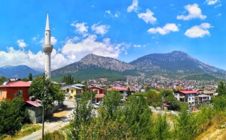 Adana'nın Pozantı İlçesindeki En İyi Psikologlar: Uzman İsimler ve İletişim Bilgileri