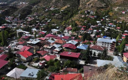 Adana'nın Saimbeyli İlçesindeki En İyi Psikologlar: Uzman İsimler ve İletişim Bilgileri