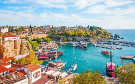 Antalya’nın Muratpaşa İlçesindeki En İyi Psikologlar: Uzman İsimler ve İletişim Bilgileri