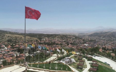 Antalya'nın Elmalı İlçesindeki En İyi Psikologlar: Uzman İsimler ve İletişim Bilgileri