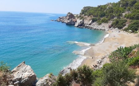 Antalya'nın Gazipaşa İlçesindeki En İyi Psikologlar: Uzman İsimler ve İletişim Bilgileri