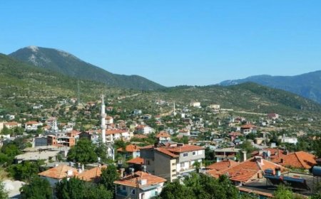 Antalya'nın Gündoğmuş İlçesindeki En İyi Psikologlar: Uzman İsimler ve İletişim Bilgileri