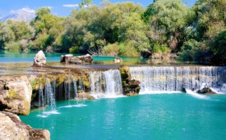 Antalya’nın Manavgat İlçesindeki En İyi Psikologlar: Uzman İsimler ve İletişim Bilgileri