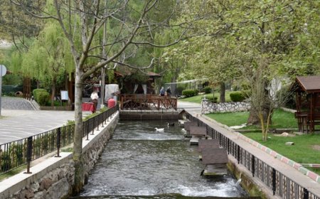 Dursunbey’in En İyi Psikologları: Uzman İsimler ve İletişim Bilgileri