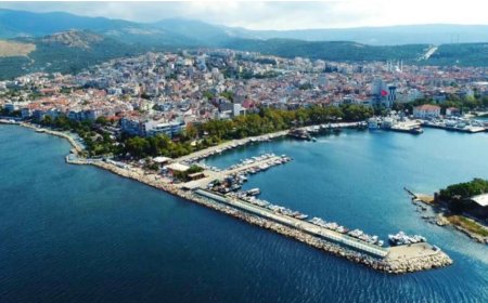Erdek’in Öne Çıkan Psikologları: Uzman İsimler ve İletişim Bilgileri
