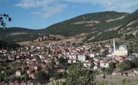 Bursa’nın Büyükorhan İlçesindeki En İyi Psikologlar: Uzman İsim ve İletişim Bilgileri
