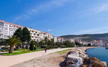 Bursa’nın Gemlik İlçesindeki En İyi Psikologlar: Uzman İsim ve İletişim Bilgileri