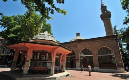 Bursa’nın İnegöl İlçesindeki En İyi Psikologlar: Uzman İsim ve İletişim Bilgileri