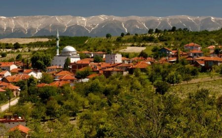 Bursa’nın Keles İlçesindeki En İyi Psikologlar: Uzman İsim ve İletişim Bilgileri