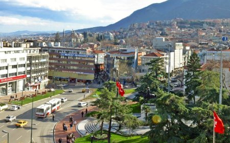 Bursa’nın Mustafakemalpaşa İlçesindeki En İyi Psikologlar: Uzman İsim ve İletişim Bilgileri