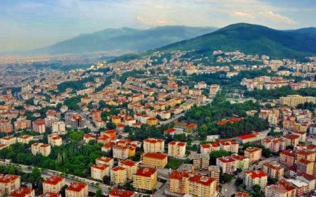 Bursa’nın Orhaneli İlçesindeki En İyi Psikologlar: Uzman İsim ve İletişim Bilgileri