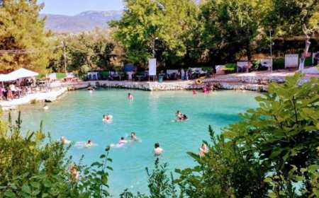Bursa’nın Orhangazi İlçesindeki En İyi Psikologlar: Uzman İsim ve İletişim Bilgileri