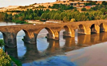Bursa’nın Yenişehir İlçesindeki En İyi Psikologlar: Uzman İsim ve İletişim Bilgileri