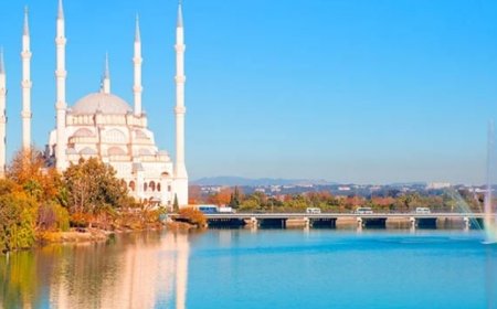 Adana’nın En İyi Psikiyatri Uzmanları: Uzman İsim ve İletişim Bilgileri