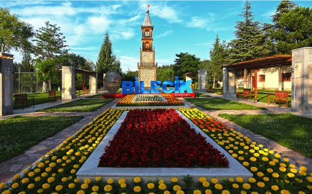 Bilecik’in En İyi Psikiyatri Uzmanları: Uzman İsim ve İletişim Bilgileri