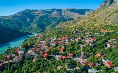 Erzincan’ın En İyi Psikiyatri Uzmanları : Uzman İsim ve İletişim Bilgileri