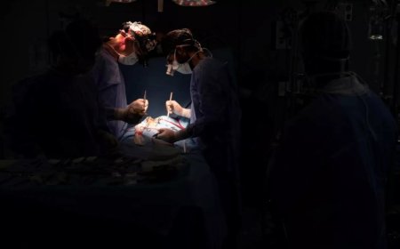 Geleceğin Tedavisi: Kalbe Biyolojik Yama Mümkün Olabilir
