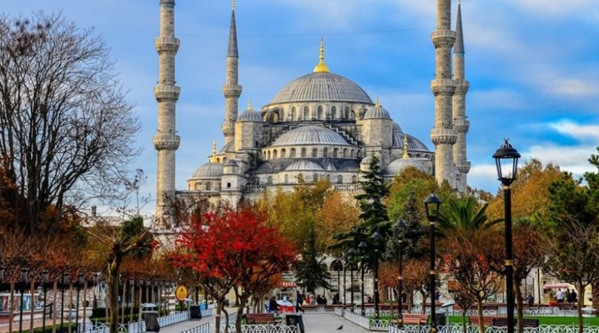 İstanbul Eyüp Sultan En İyi Psikologlar: 5 Uzman İsim ve İletişim Bilgileri