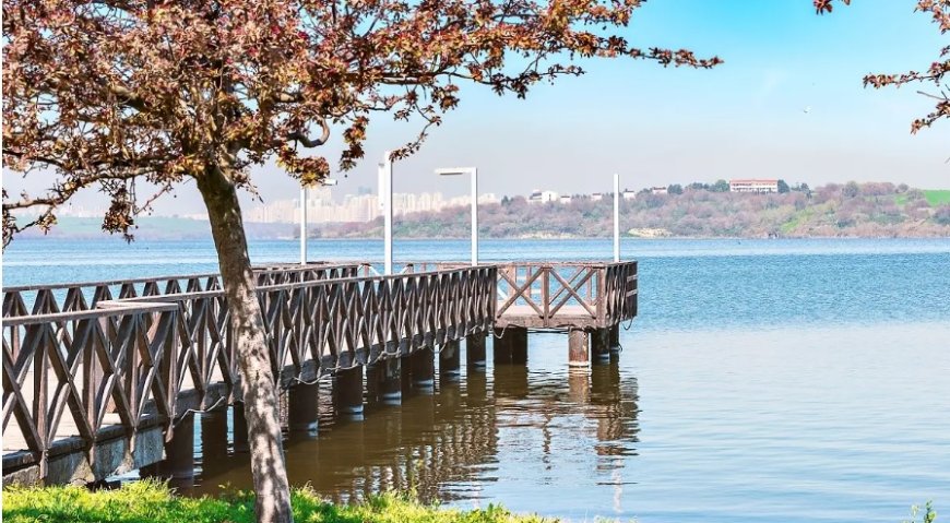 İstanbul’un Küçükçekmece İlçesindeki En İyi Psikologlar: 10 Uzman İsim ve İletişim Bilgileri