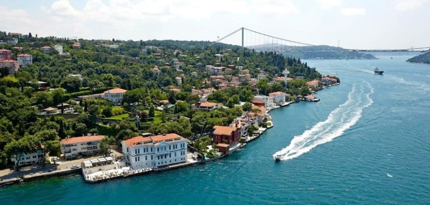 İstanbul’un Beykoz İlçesindeki En İyi Psikologlar: 10 Uzman İsim ve İletişim Bilgileri