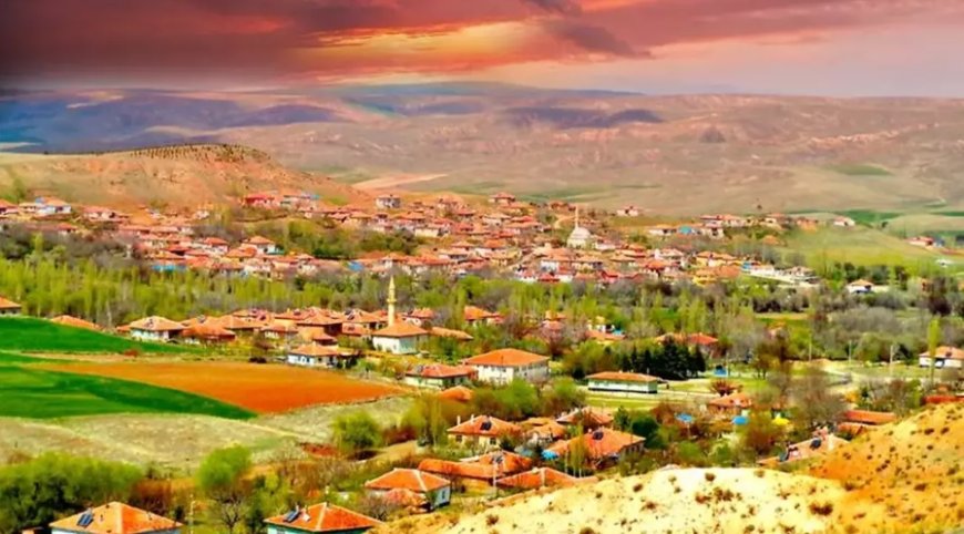 Ankara’nın Ayaş İlçesindeki En İyi Psikologlar: Uzman İsim ve İletişim Bilgileri