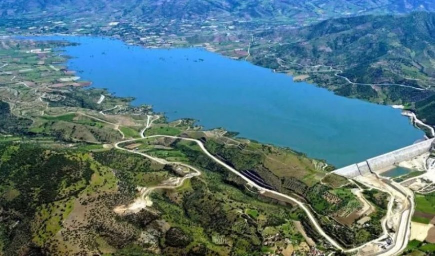 İzmir'in Beydağ İlçesindeki En İyi Psikologlar: Uzman İsim ve İletişim Bilgileri