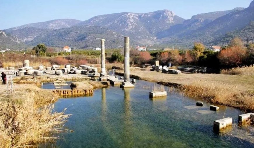 Menderes’in En İyi Psikologları: Uzman İsim ve İletişim Bilgileri