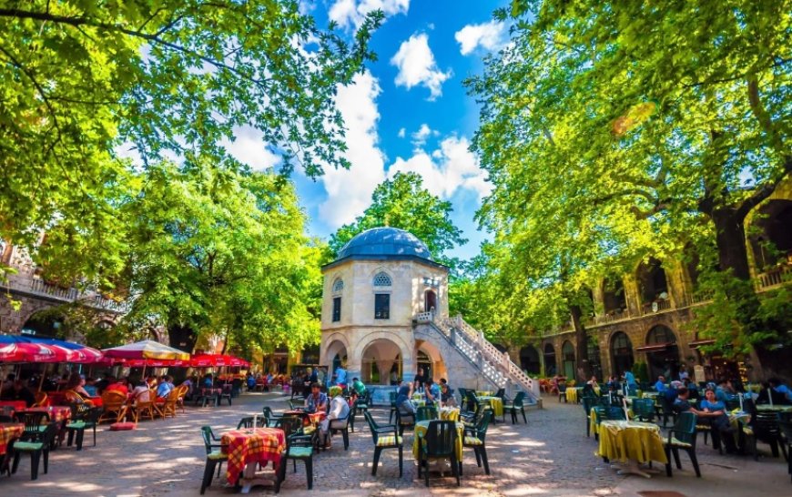 Bursa’nın Osmangazi İlçesindeki En İyi Psikologlar: Uzman İsim ve İletişim Bilgileri