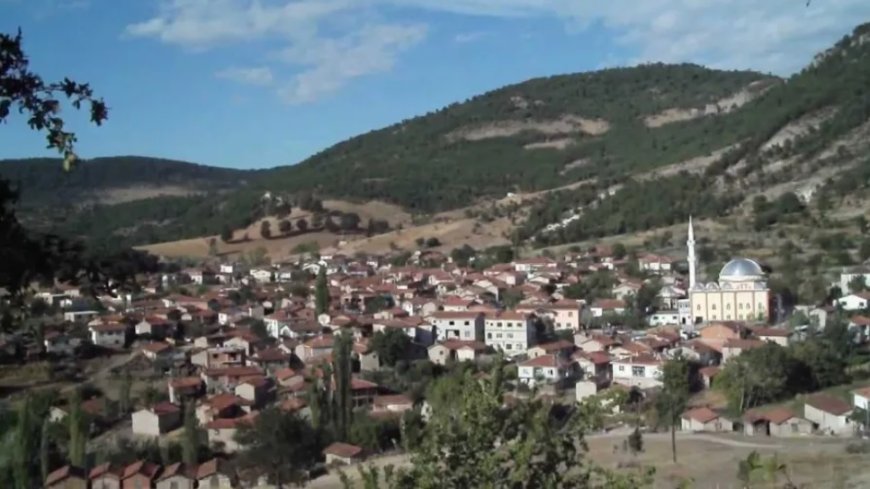 Bursa’nın Büyükorhan İlçesindeki En İyi Psikologlar: Uzman İsim ve İletişim Bilgileri