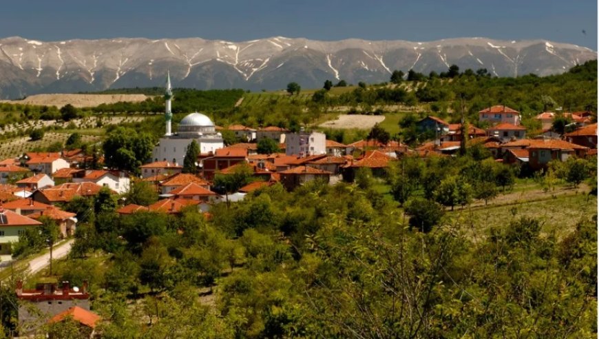 Bursa’nın Keles İlçesindeki En İyi Psikologlar: Uzman İsim ve İletişim Bilgileri